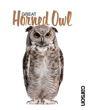 Great Horned Owl Swedish Dishcloth