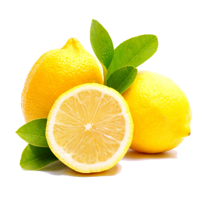 Lemons Cut in Half Swedish Dishcloth