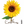 Load image into Gallery viewer, Sunflower Swedish Dishcloth

